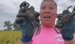 东北雨姐爆料是谁啊视频,视频背后的人物真相